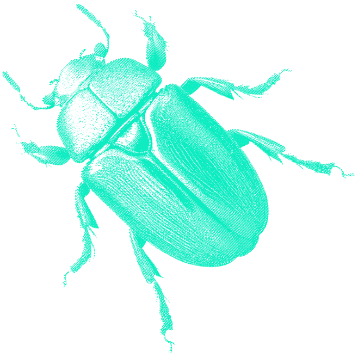 A digital bug (we love bugs), in green color